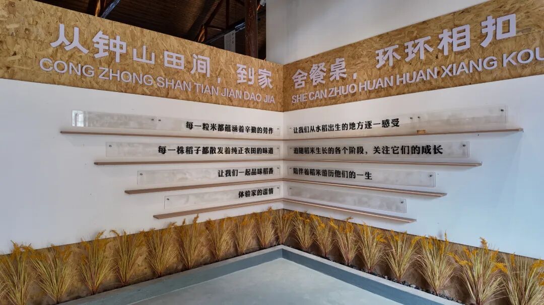 10zs：稻米文化展陈区域.JPG