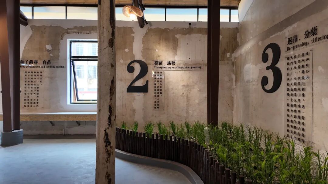 10zs：稻米文化展陈区域 (2).JPG