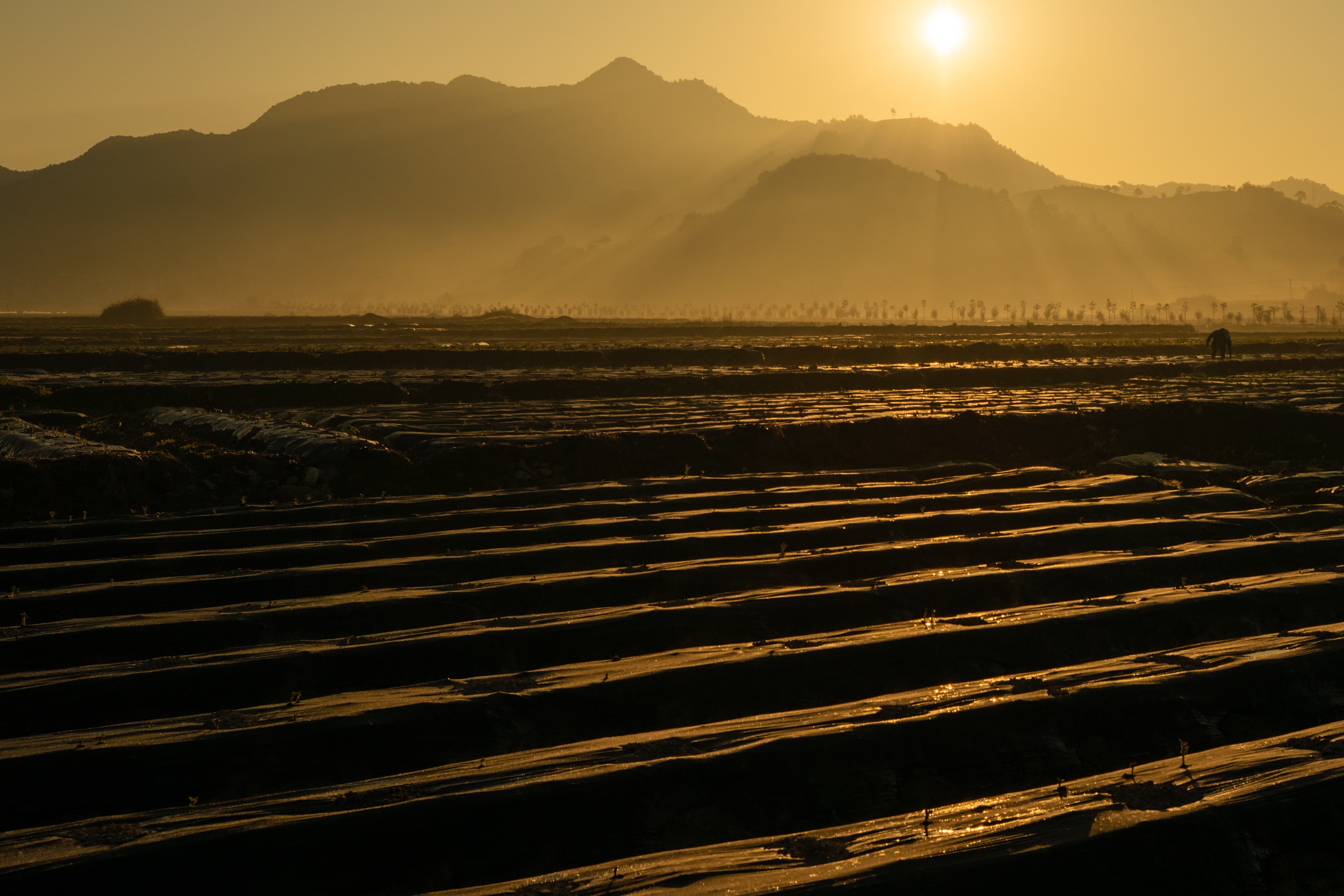 芹头村1.美丽乡村 2.闽台乡建乡创项目1