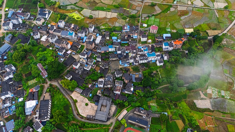 微信图片_20250609175608